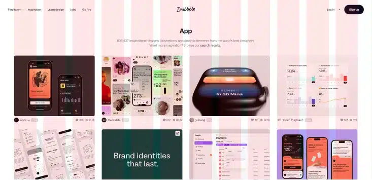 A Dribble website with a grid applied to it.